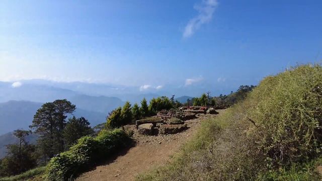 Northern Blossom Flower Farm Baguio смотреть онлайн