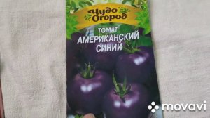 Теплая грядка для посева семян на рассаду. Обзор семян 🍅.