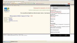 Информация о клиенте : Мобильная торговля Моби-С