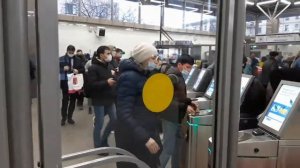 Станция метро Лесная. Интересные факты.