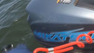 Ходовые испытания лодочного двухтактного мотора Mikatsu с ПВХ лодкой Mercury Stormline 3м 40см