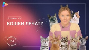 А правда, что кошки лечат? Выпуск №4