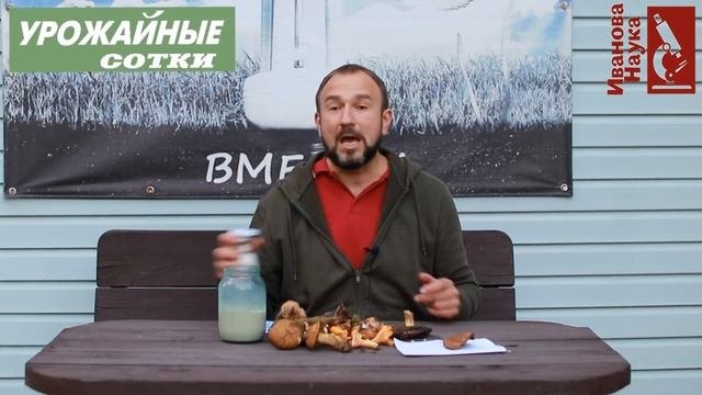 Бомбический и ПРОСТОЙ способ выращивания ГРИБОВ на участке. Попробуйте и получится!