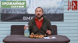 Бомбический и ПРОСТОЙ способ выращивания ГРИБОВ на участке. Попробуйте и получится!