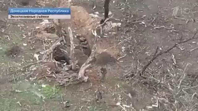 Кадры ближнего боя российских бойцов, снятые на квадрокоптер.