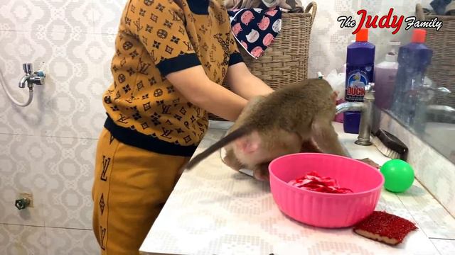 Judee, Our Expert H0usekeeper Go To Washing Clothes смотреть онлайн