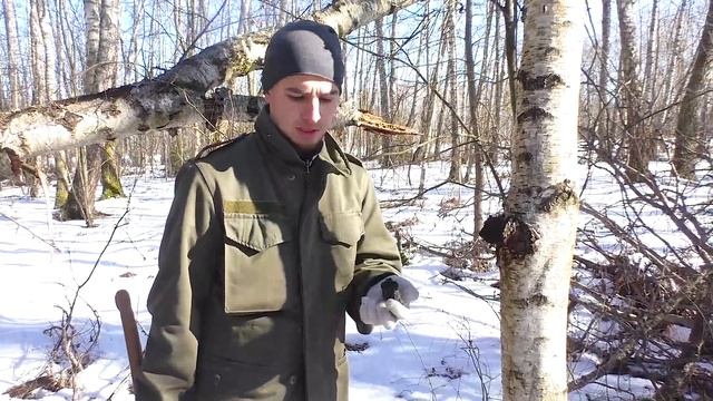 ВСЁ О ЧАГЕ!