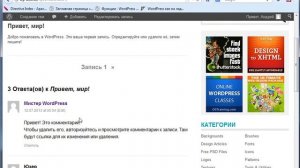 WordPress-Мастер Часть 4 Урок 10