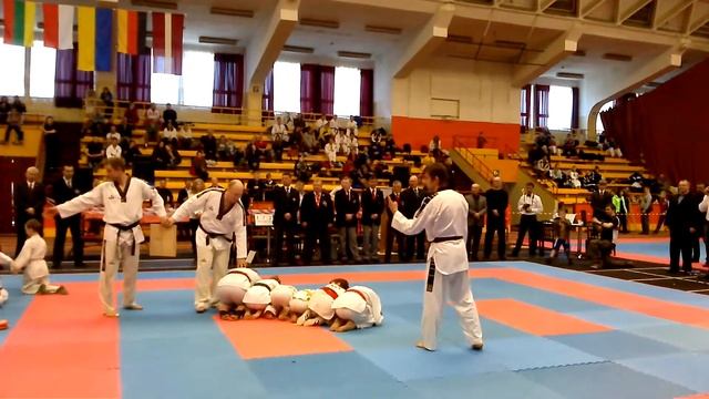 Показательное выступление (TaeKwonDo, Рига) смотреть онлайн