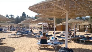 Domina coral bay ( домина корал бей ) пляжный отдых и анимация