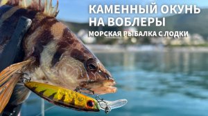 Ловля каменного окуня с лодки на воблеры. Рыбалка на Черном море.