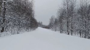 Охота на лыжах