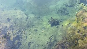 Бологое. Мшенцы. Святые источники. Карстовые провалы