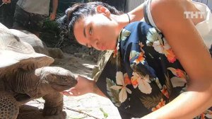 Дом-2. Остров любви, 1 сезон, 1091 серия (15.08.2019)