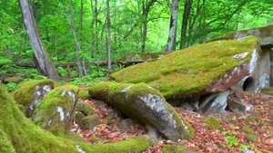 Дом в дремучем лесу. Изба Бабы Яги и дольмены.