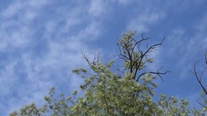 Рыбалка на водоёме Акация. Майкоп. Адыгея 20 мая 2021