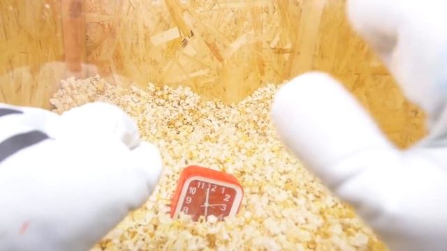 ПРАНКИ над ОГРОМНЫМ ПОПЫТОМ **Джефф vs ПОП ИТ** смотреть онлайн