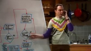 The Big Bang Theory - The Friendship Algorithm