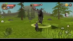 "WildCraft". клип под песню RUN MEME за рысь