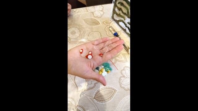 Муравьиная ферма. Первое знакомство.