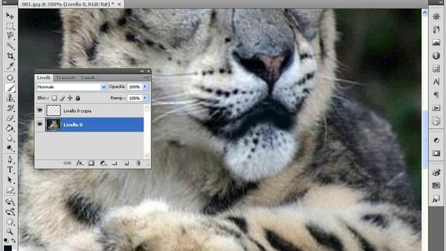 Tutorial Photoshop CS4 - animation of a photo