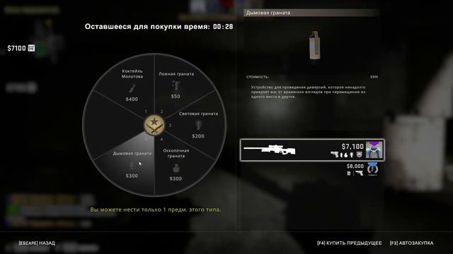 НАПАРНИКИ В CS:GO!ХОРОШИЙ ТИММЕЙТ ЗАЛОГ УСПЕХА!ЯЧИТЕР? смотреть онлайн