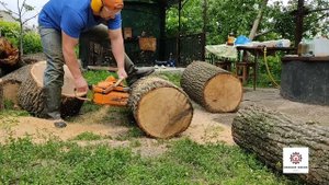 Бензопила Тайга 214 робота по найму .