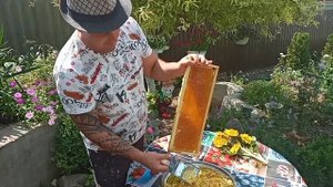 Качаем Мёд. Культиватор" Кузина" в Работе.