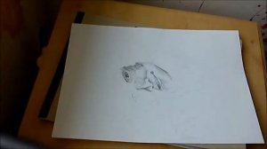 Drawing ImmortalHD ( Timelapse )