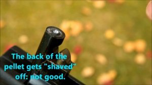 The BSA "Lightning XL Tactical" air rifle in .177 caliber