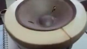 Замена подвеса без полной разборки частей динамика