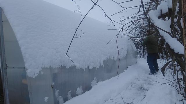 Как ухаживать за теплицей зимой смотреть онлайн