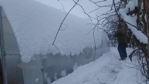 Как ухаживать за теплицей зимой