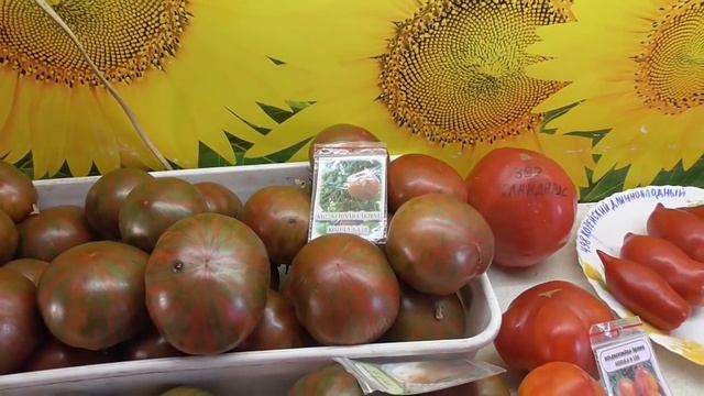 О ТОМАТАХ "КОЗУЛА" И О ЗАКАЗАХ СЕМЯН. Ольга Чернова. смотреть онлайн