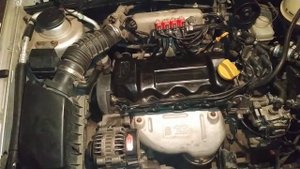 Сальники клапанов VICTOR REINZ "12-31056-01"  на Чери Амулет/CHERY AMULET