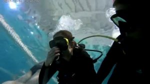 Пробное погружение в бассейне Смоленске