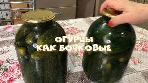 Бочковые огурцы в банках Засолка простым холодным способом