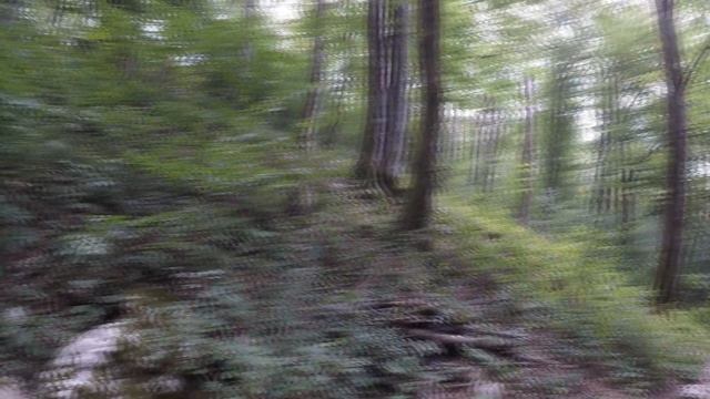 Экскурсия на Воронцовские пещеры и Калиновое озеро смотреть онлайн