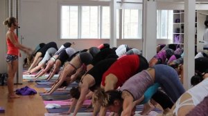 Ashtanga Yoga Led Half Primary Series with Kino Yoga - London 2016