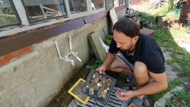 Как улучшить подводный робот пылесос intex. Видео от подписчика смотреть онлайн