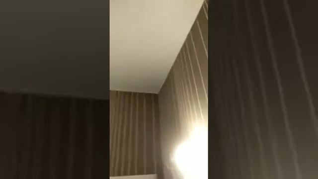 Натяжные потолки в гостиной - ТеХпотолки смотреть онлайн