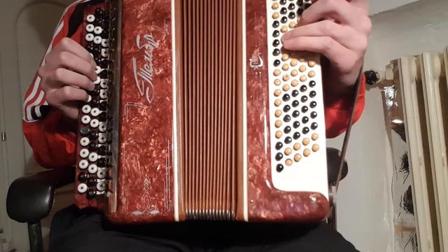 ACCORDION "TEMBR" TEST ***SOLD*** смотреть онлайн