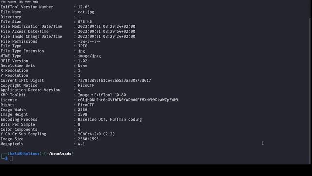 How to Solve the Information Challenge from picoCTF 2021 (Forensics Tutorial) смотреть онлайн