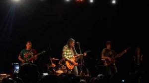 18 берёз. Чиж и Ко