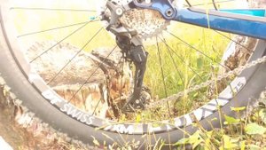 Canyon Spectral CF 8.0 2017