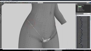 BodySlide and Outfit Studio Утяжки нижнего белья