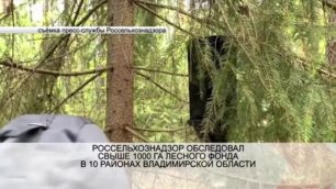 Россельхознадзор обследовал свыше 1000 га лесного фонда в 10 регионах Владимирской области