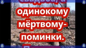 Как снять венец безбрачия самостоятельно? | 3 самых лучших способа! | Магия любви | Эзотерика-Влад