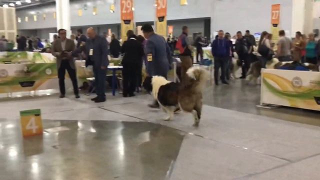 МАКС ДАР МАРШАЛ смотреть онлайн