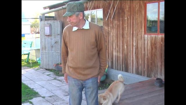 Старинный самовар. Деревенские мотивы.. смотреть онлайн